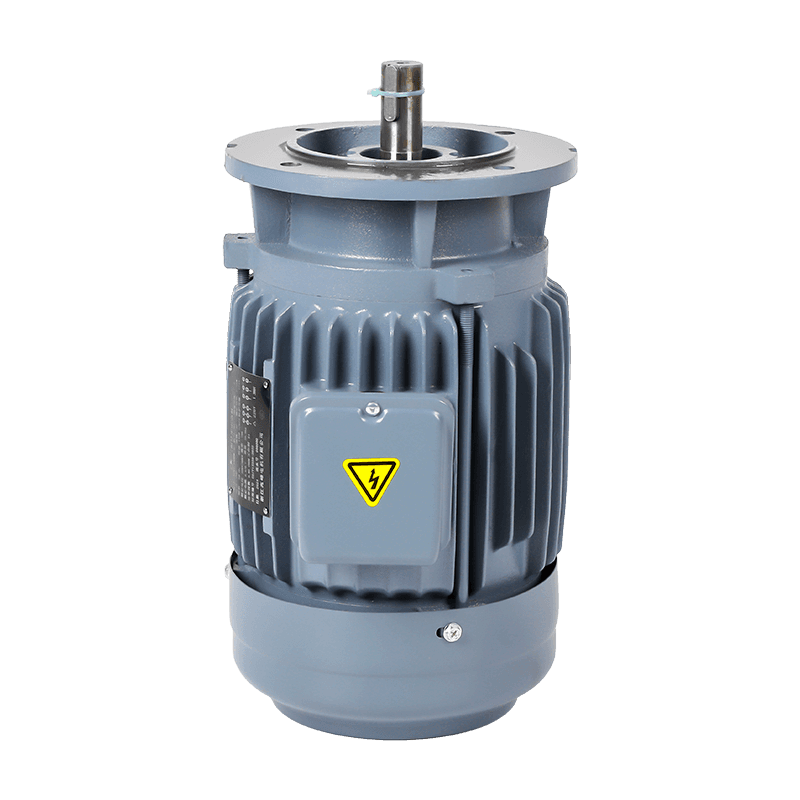 Three-Phase Vertical Motor